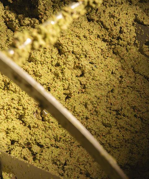 Sabino Leone Olio Extra Vergine di Oliva Première 500ml